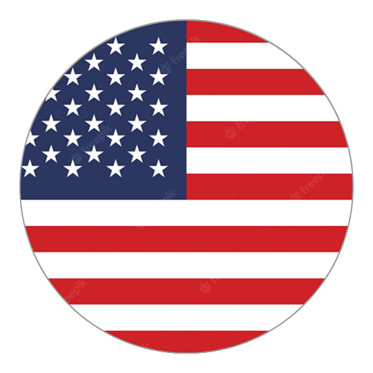 US flag logo